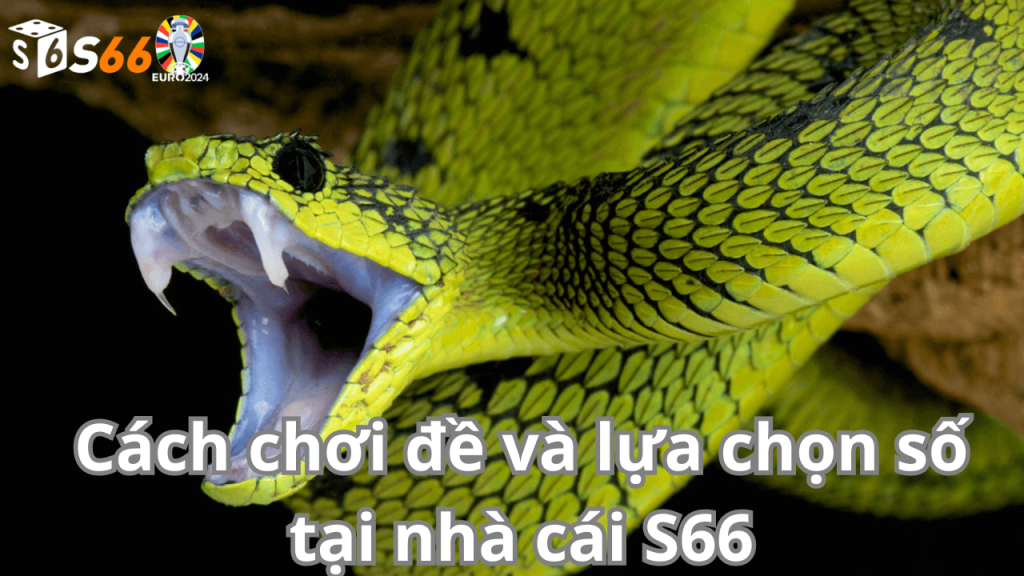 Cách chơi đề và lựa chọn số tại nhà cái s66