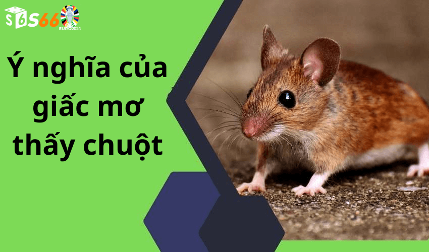 Ý nghĩa của giấc mơ thấy chuột